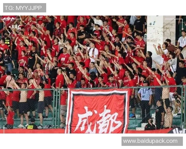 成都排球队意识争议引发热议球迷与专家的不同看法与分析